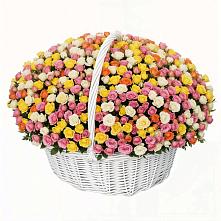 Премиум букет из: Розы в Посёлок имени М. И. Калинина