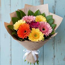 Букет цветов из:  Герберы #REPLACE_PRED# Посёлок имени М. И. Калинина