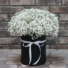 Цветочная композиция из Гипсофила в шляпной коробке в Посёлок имени М. И. Калинина